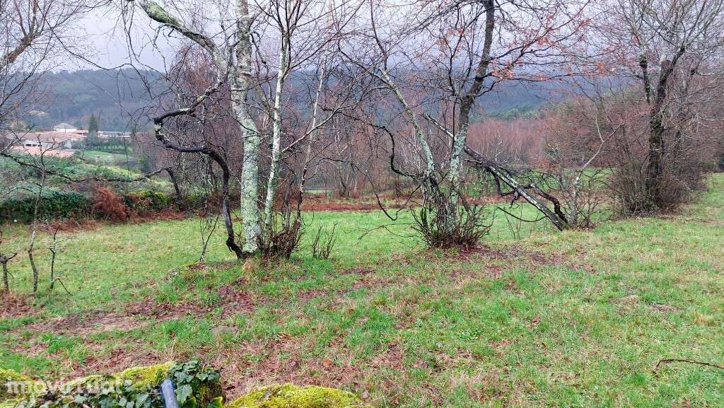 Terreno Rústico - Agra, Rossas - Grande imagem: 3/7