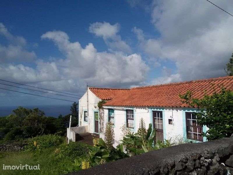 Moradia terrea com terrenos - Grande imagem: 3/3
