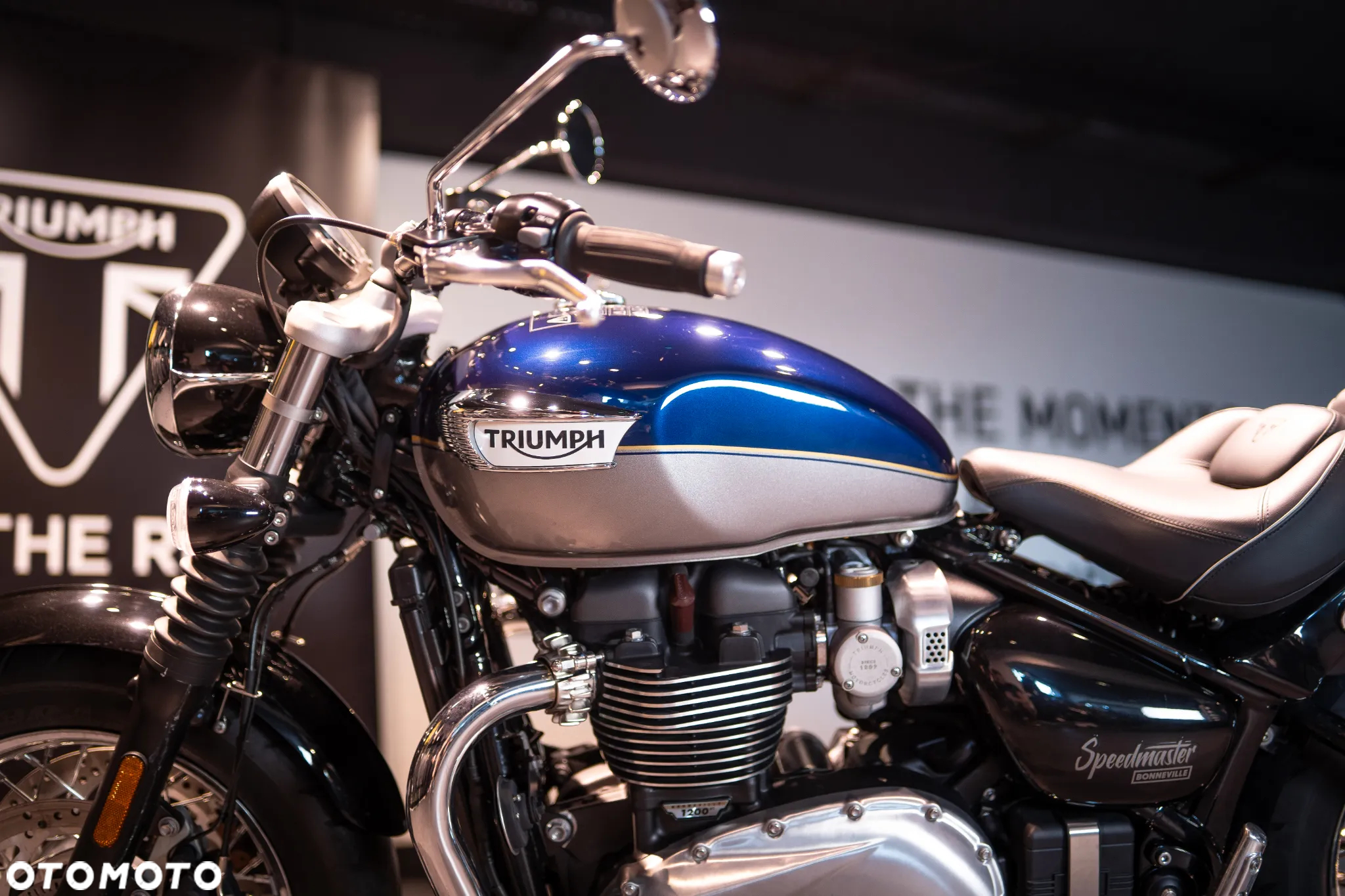 Triumph Speedmaster - 29