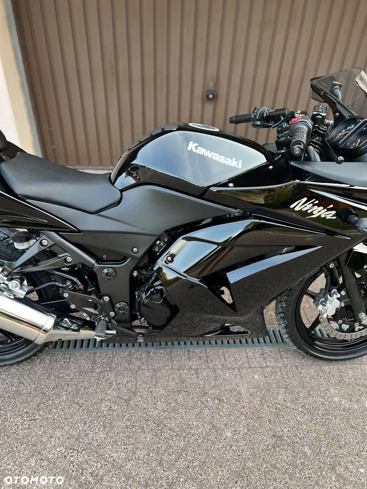 Kawasaki Ninja 250R - 11