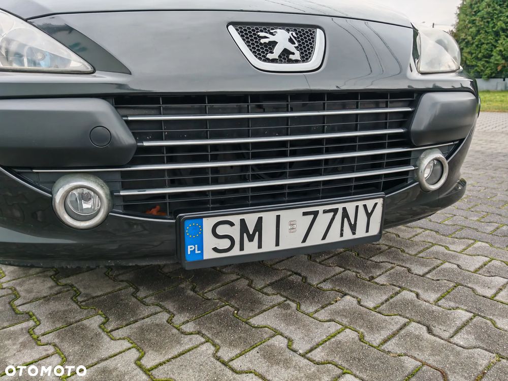 Peugeot 307 1.6 Sporty - 20