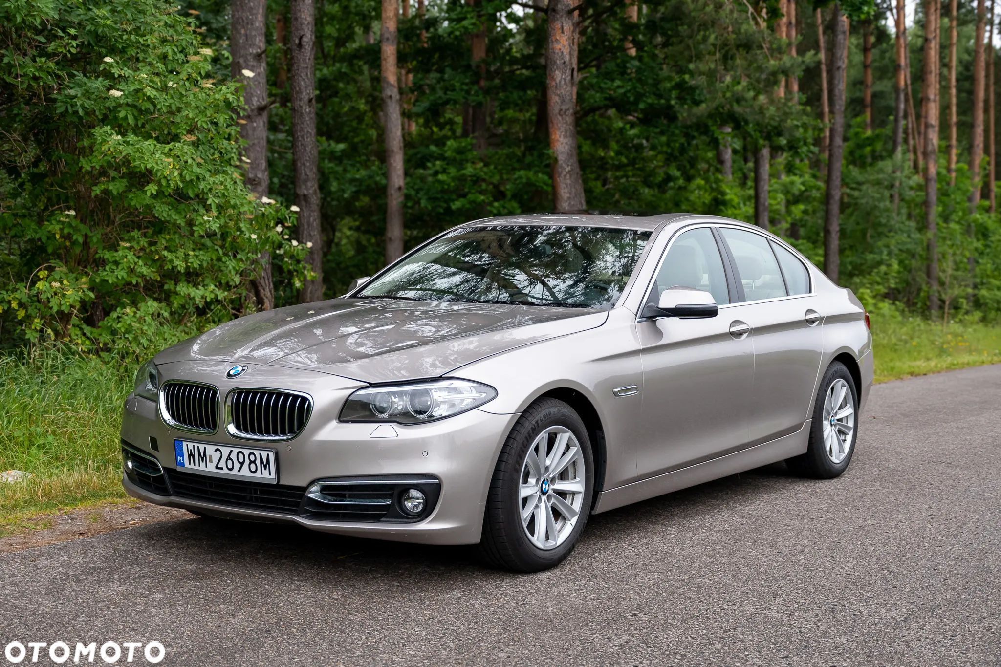 BMW Seria 5 528i Luxury Line - 1