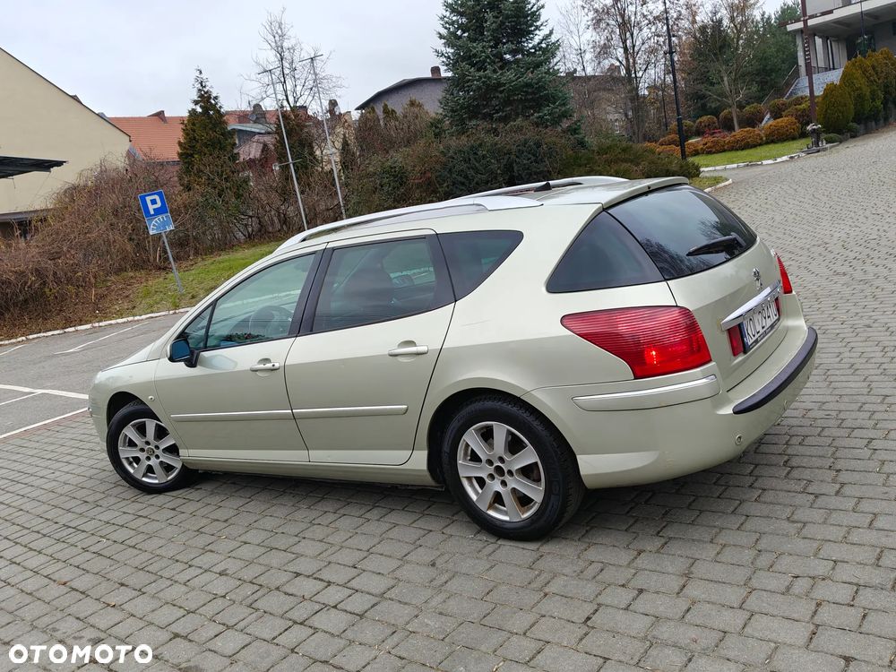 Peugeot 407 2.0 HDI Platinum - 38