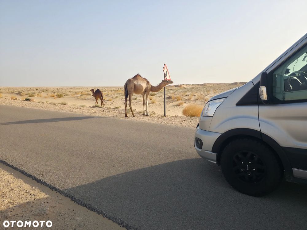 Ford Transit - 22