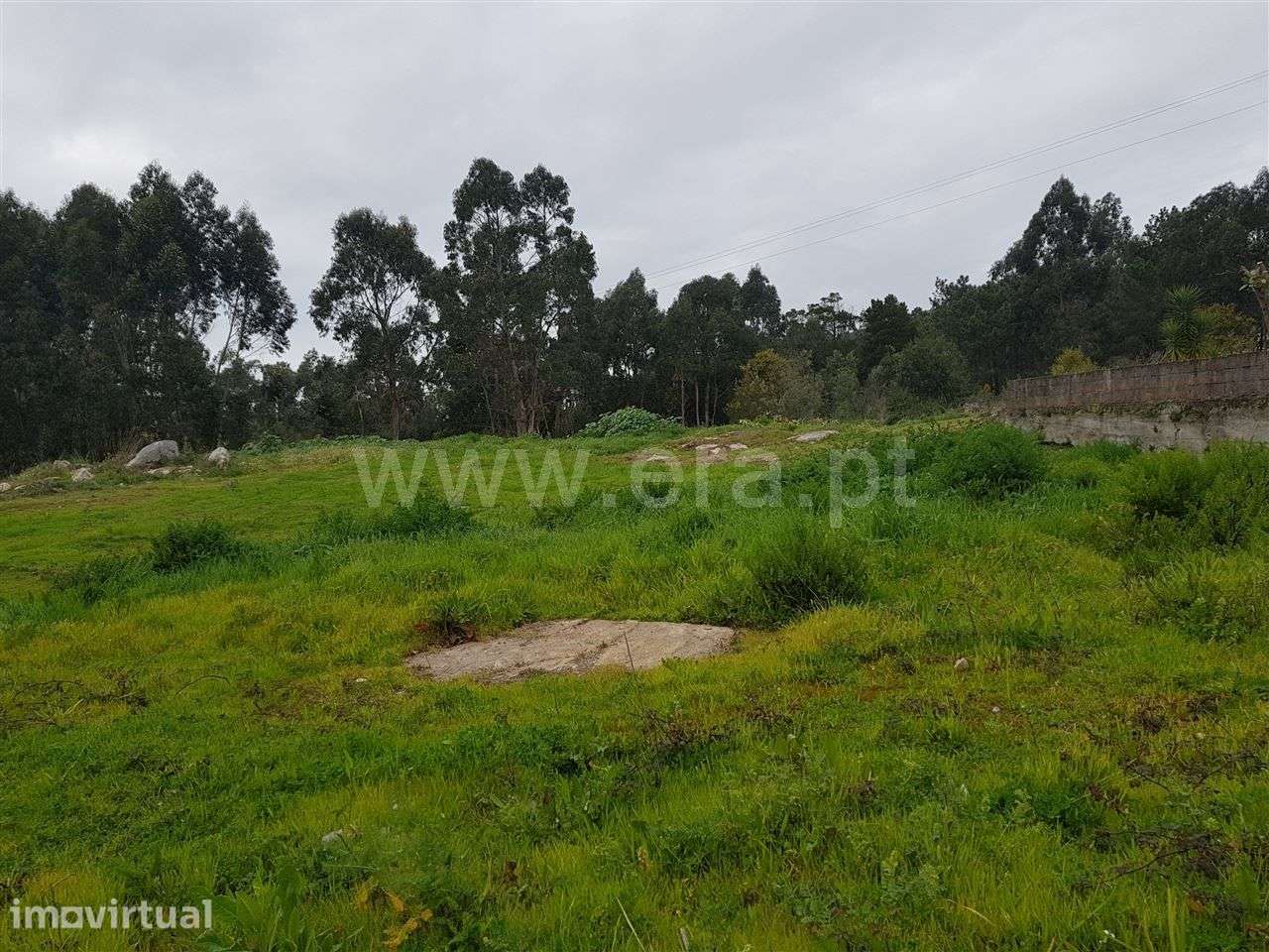 Terreno Para Construção com 10.000m2 em Marinhas, Esposende - Grande imagem: 4/6