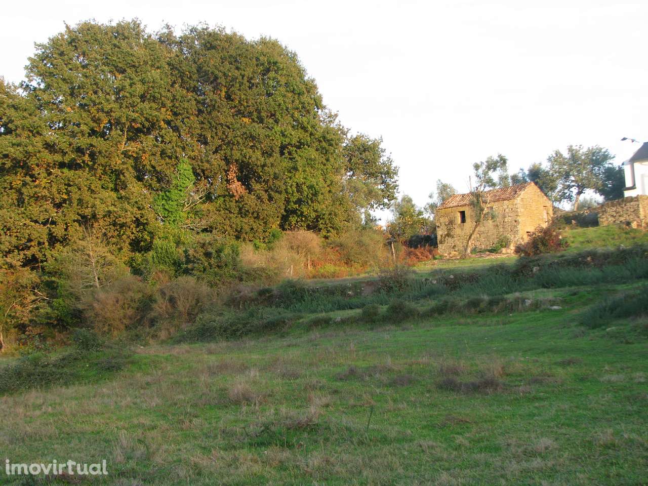 Terreno c/Casa em Pedra - Grande imagem: 5/8