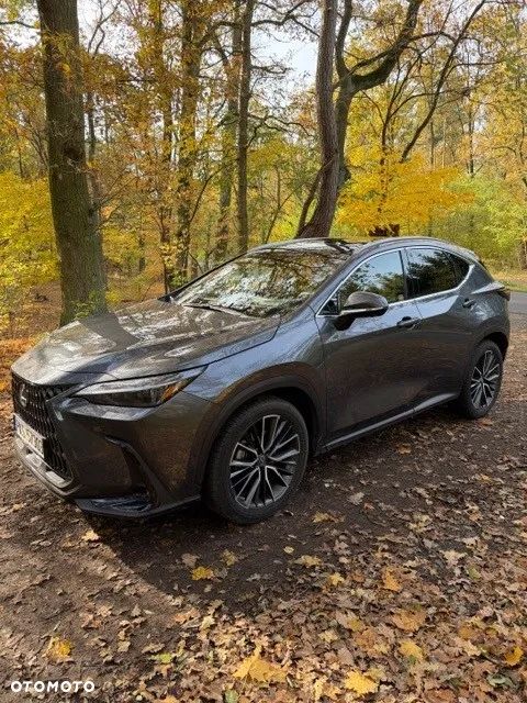 Lexus NX 350h Omotenashi AWD - 10
