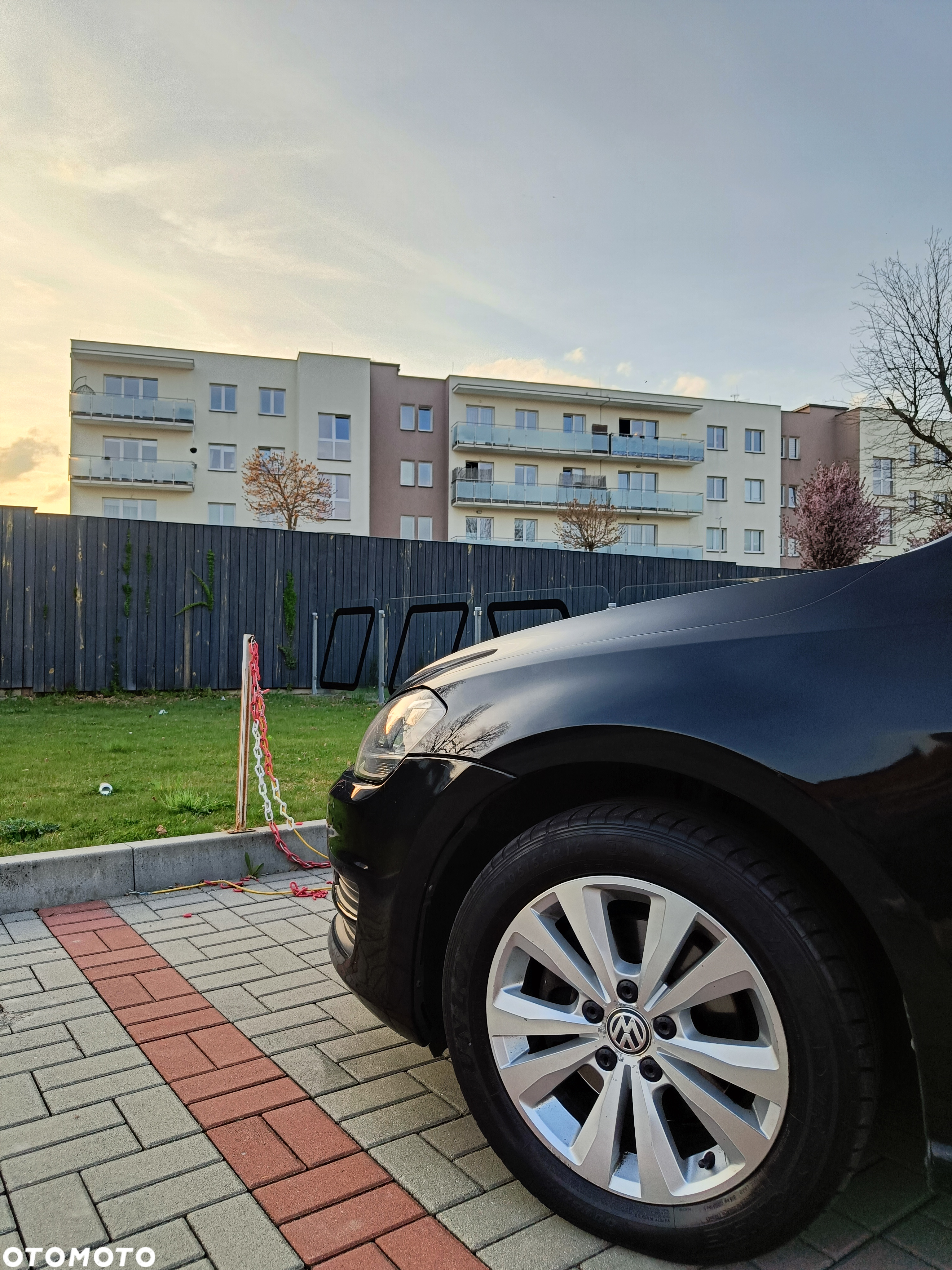 Volkswagen Golf - 12