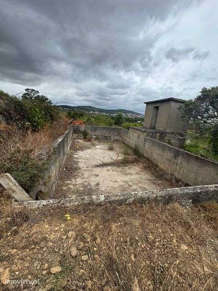 Vendo Quintas em Alijó e Pegarinhos - Grande imagem: 4/12