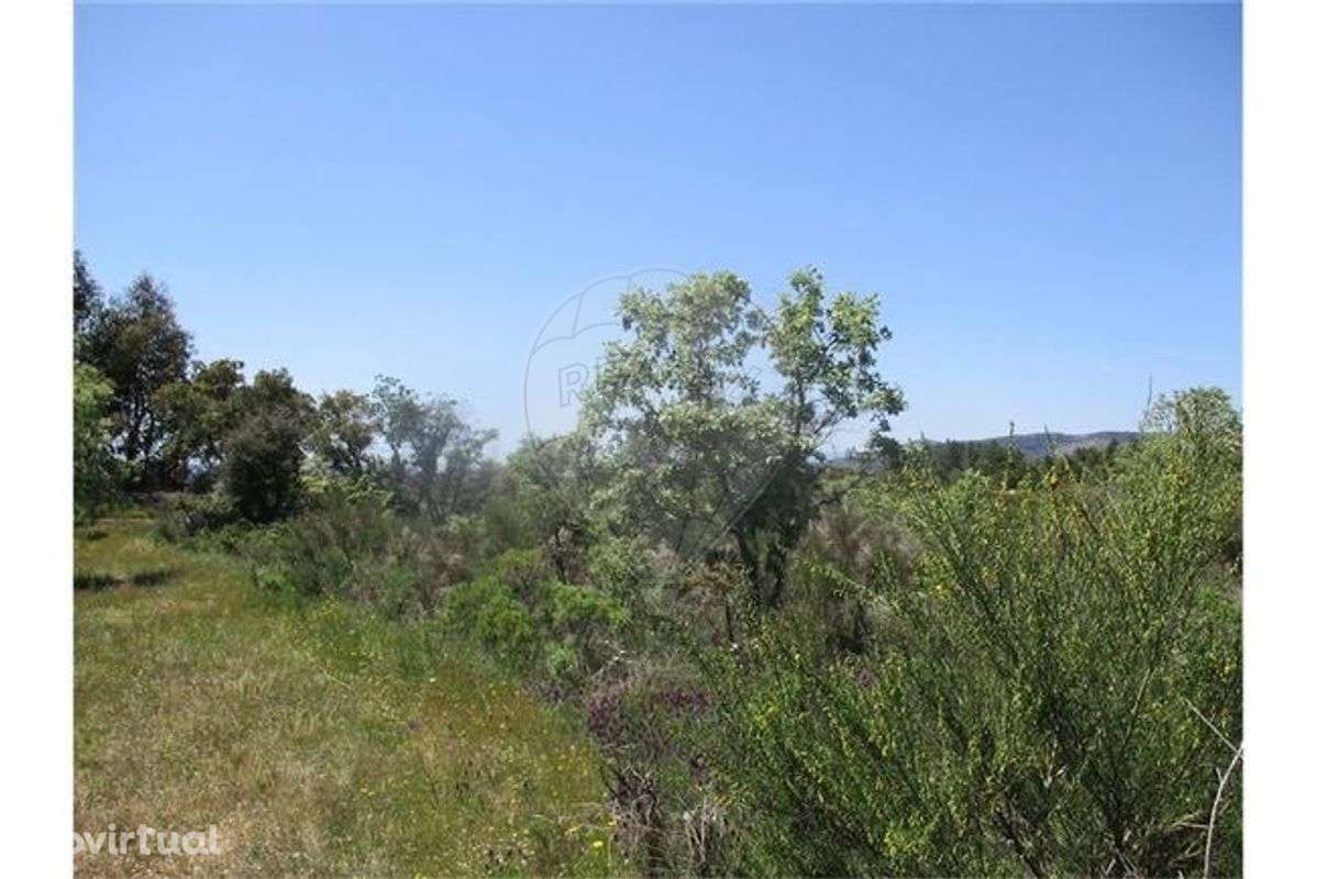 Quinta  para venda - Grande imagem: 4/42