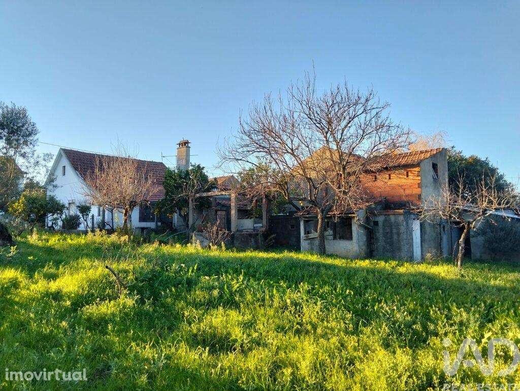 Casa de aldeia T2 em Chãos de 430,00 m2 - Grande imagem: 2/30