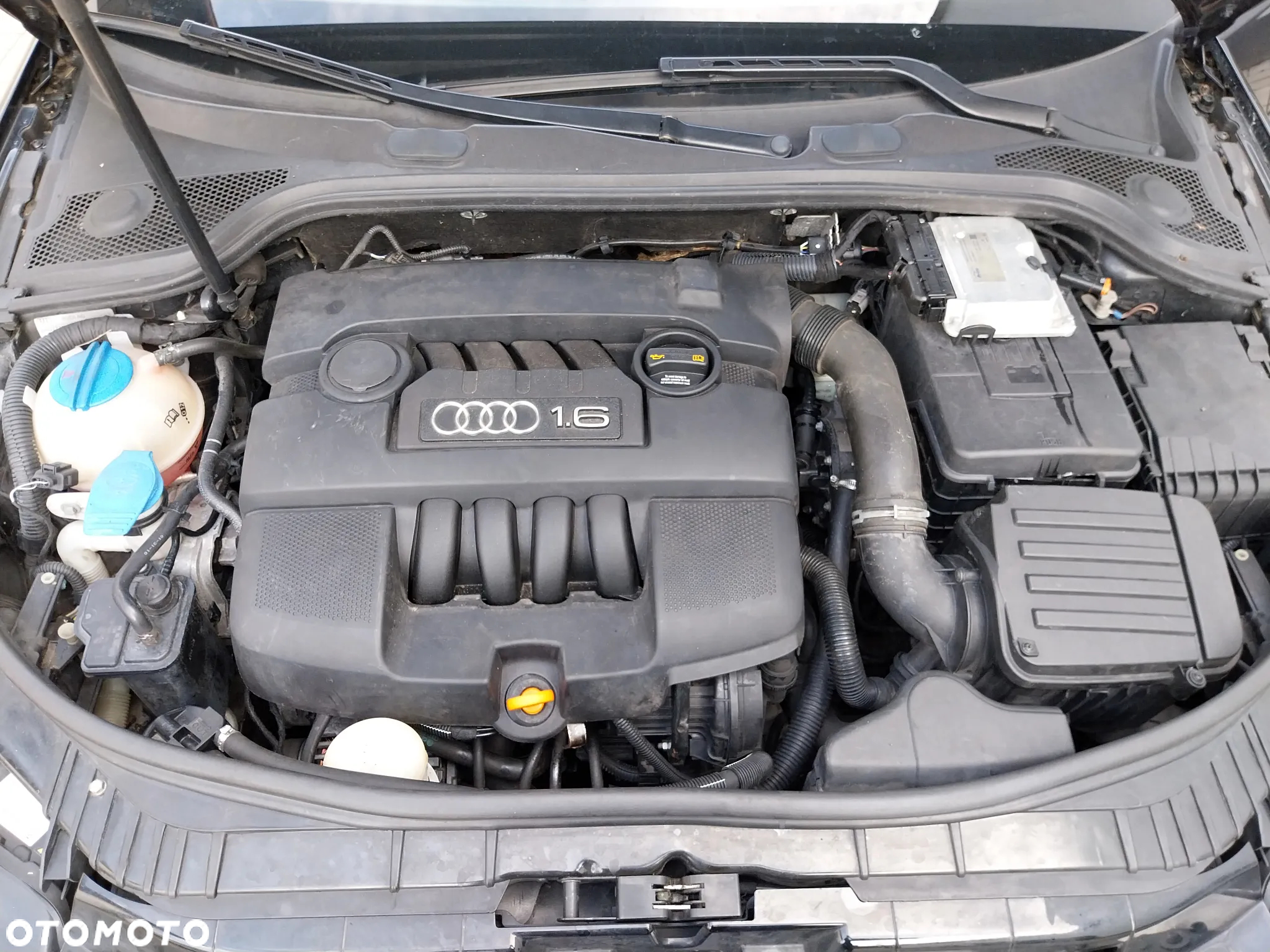 Audi A3 1.6 Limited Edition - 11