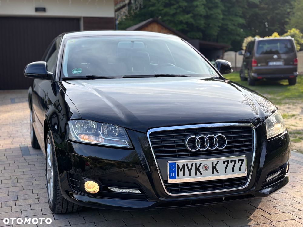 Audi A3 3-drzwiowe 1.6 Ambition - 16