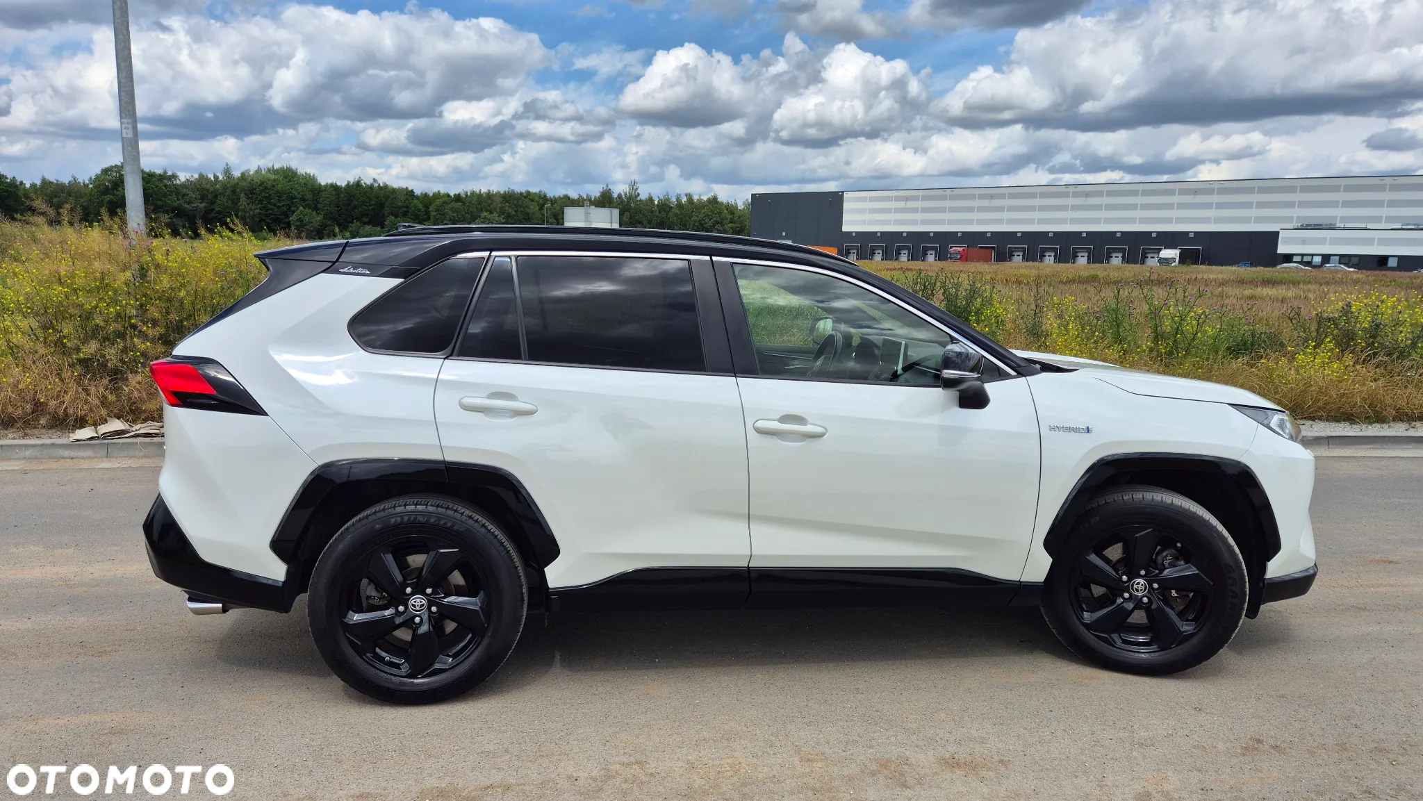 Toyota RAV4 2.5 Hybrid Selection 4x2 - 2