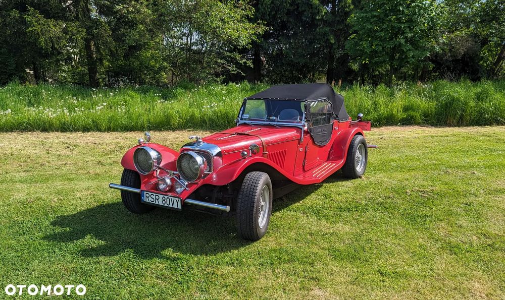 Jaguar Inny - 9