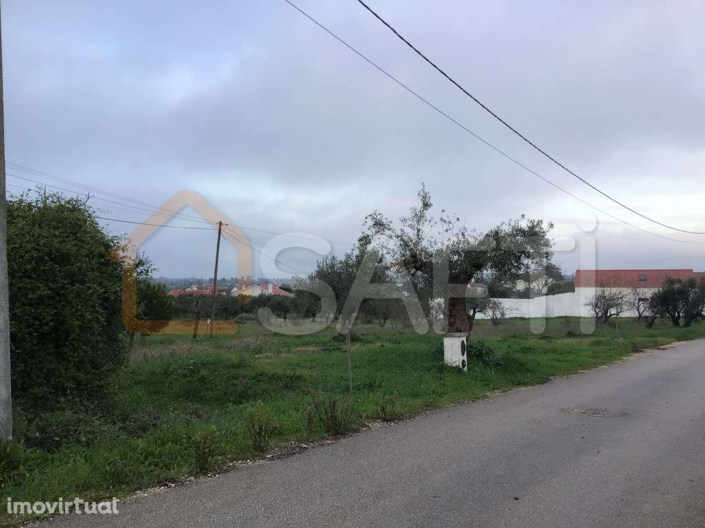 Terreno Rústico de 12.320m2, em zona sossegada com Montado e planta... - Grande imagem: 4/13