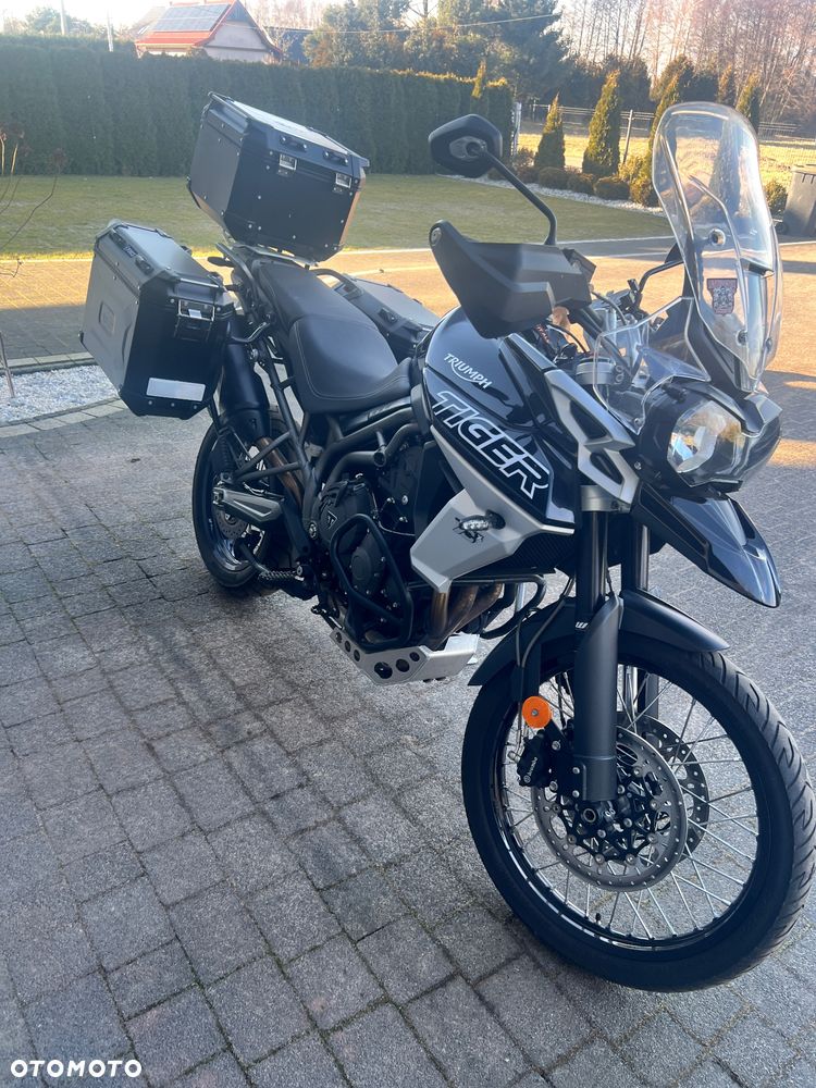 Triumph Tiger - 6