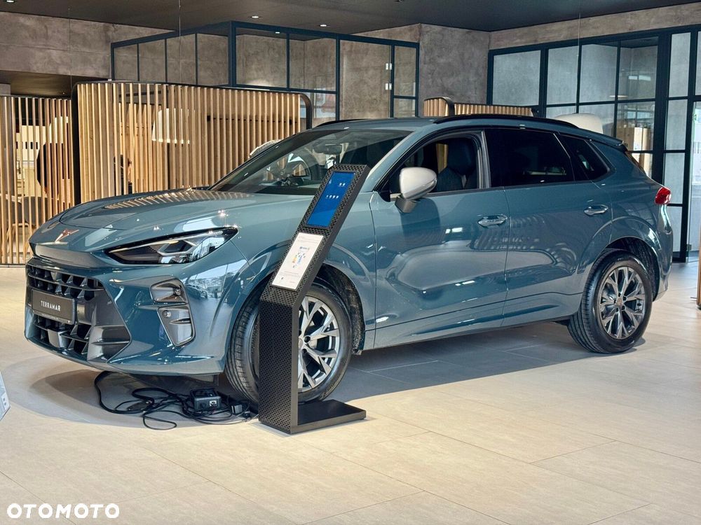 Cupra Terramar 2.0 TSI 4Drive DSG - 2