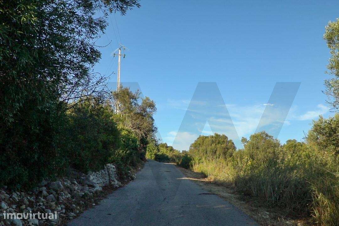 Terreno Rústico 3054m2| São Sebastiao | Loulé - Grande imagem: 2/32