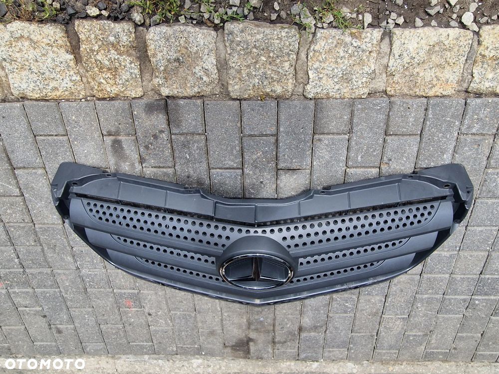 GRIL ATRAPA MERCEDES SPRINTER 906 LIFT - 6