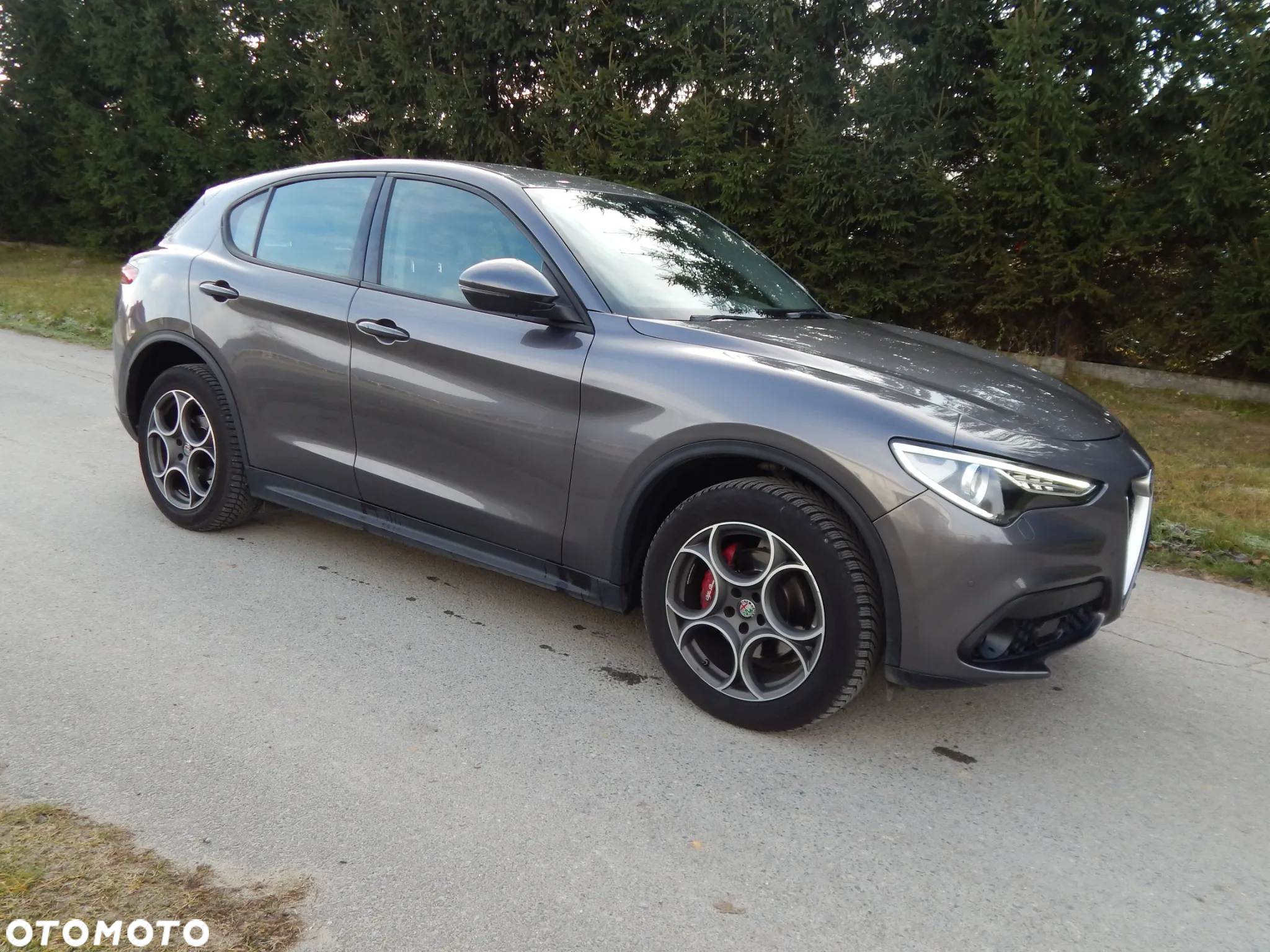 Alfa Romeo Stelvio 2.2 JTDM Q4 - 6