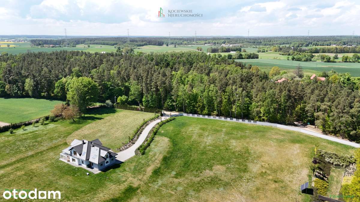 Willa z 3ha działką | Trzcińsk | 45 min od Gdańska - Pełny obrazek: 3/20