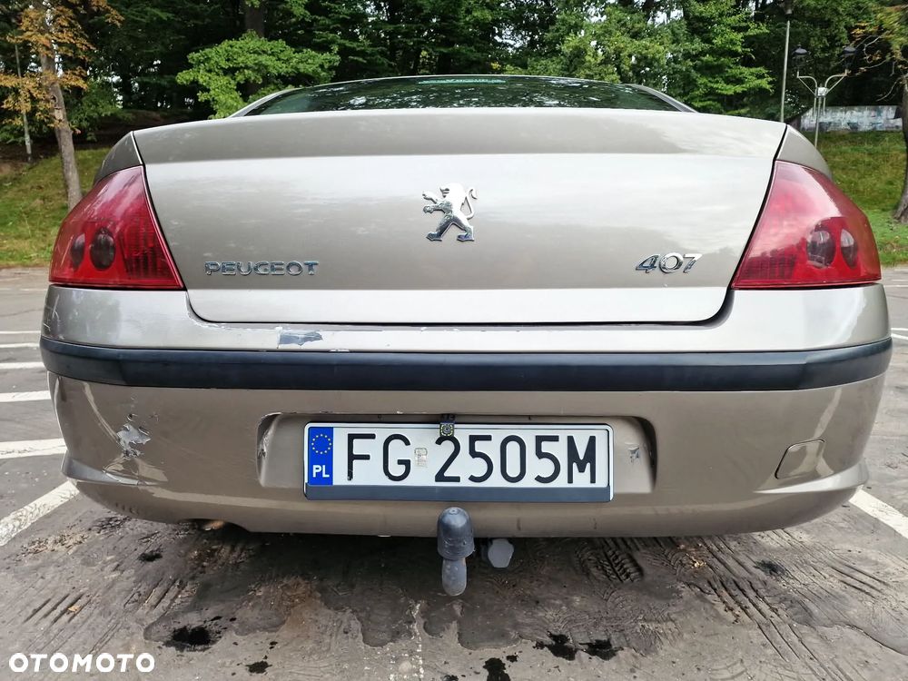 Peugeot 407 - 19