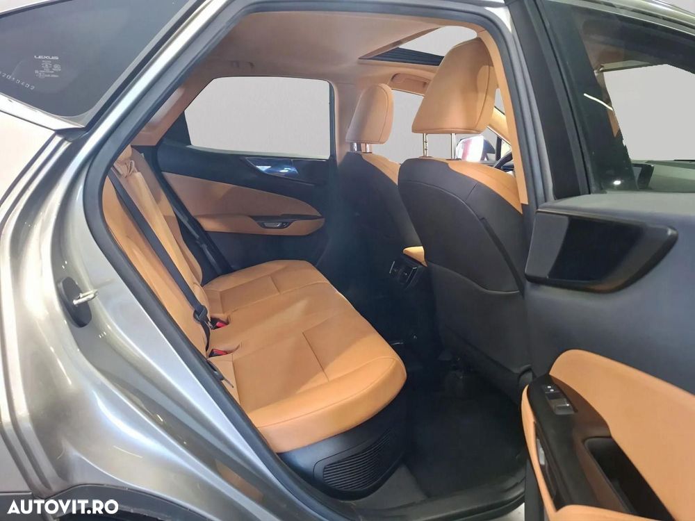LEXUS NX 2023 — imagine 12