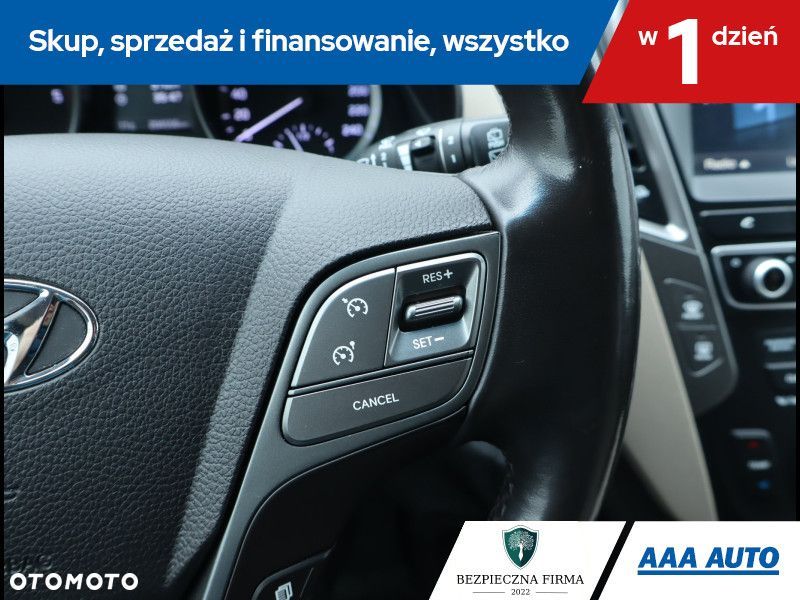 Hyundai Santa Fe - 17