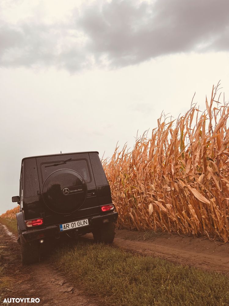 Mercedes-Benz G - 32