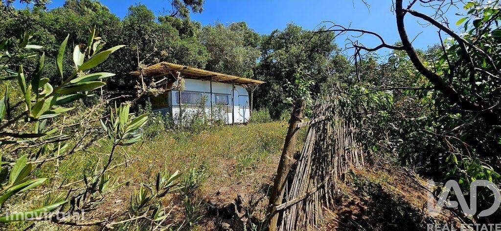 Terreno Agrícola em Budens - Grande imagem: 3/40