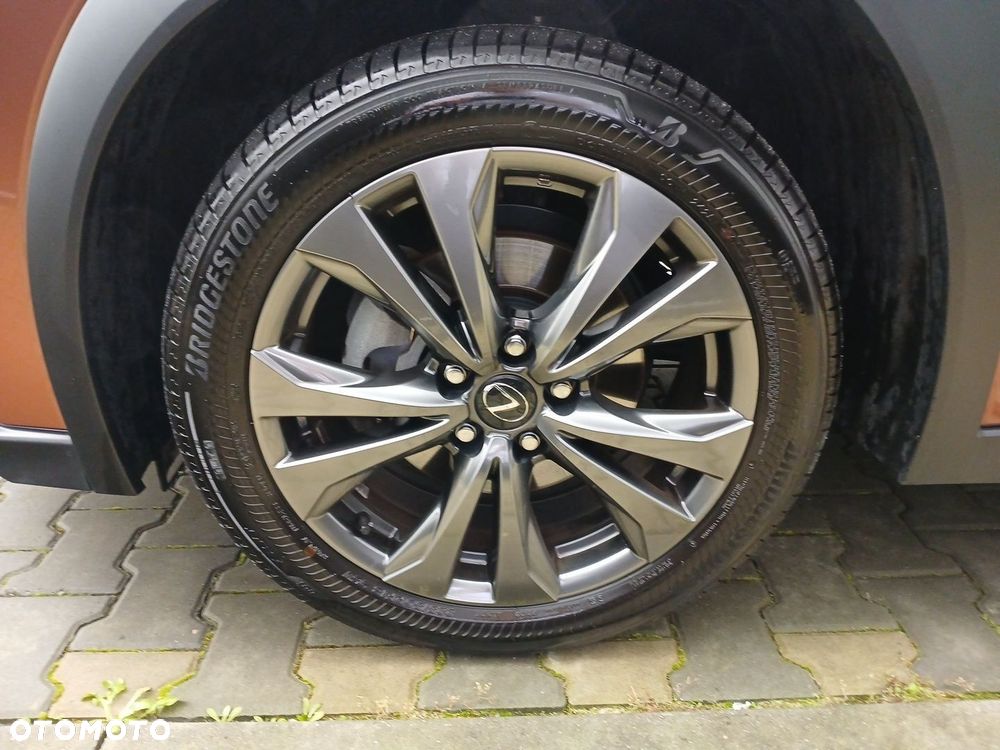 Lexus UX 300h F Sport Design - 28