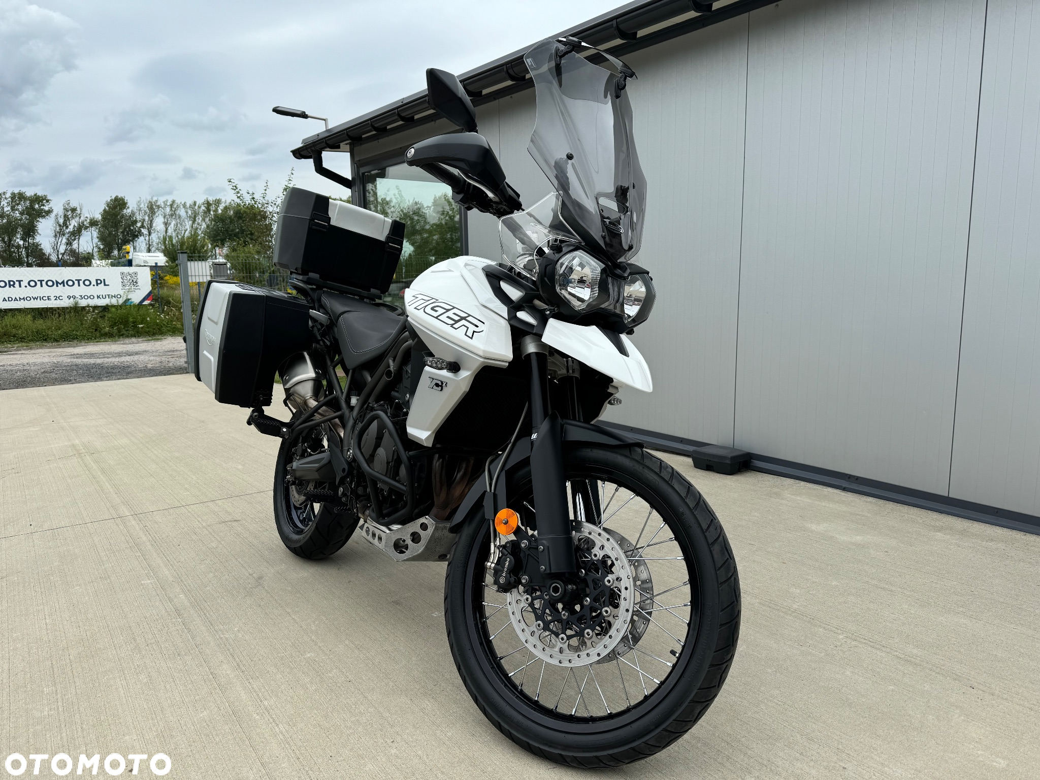 Triumph Tiger - 19