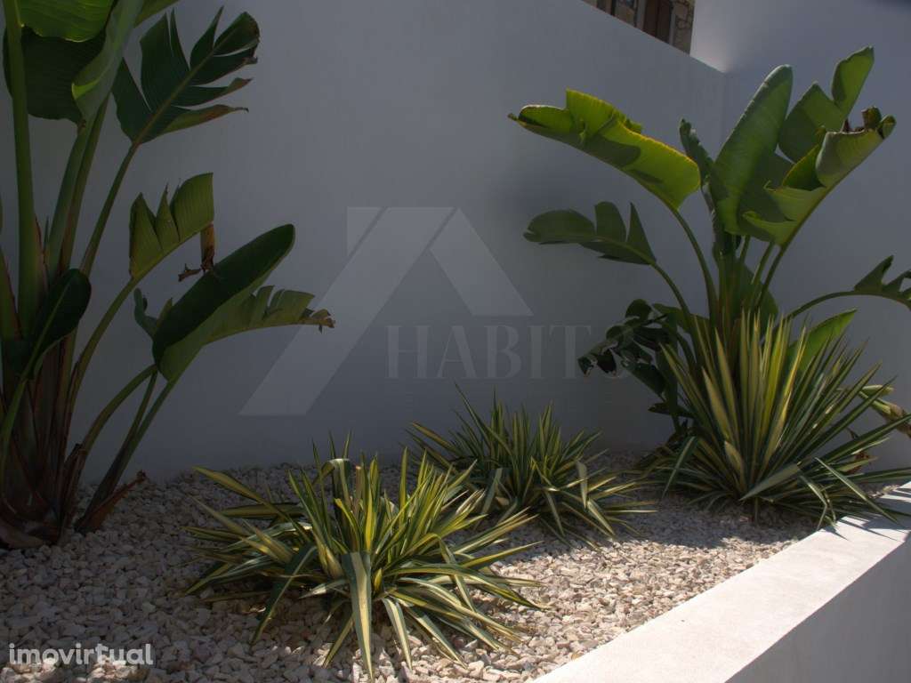 Moradias de Sonho - Grande imagem: 4/34