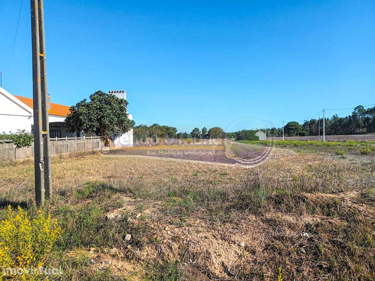 Terreno em Marinhais (M606) - Grande imagem: 3/3