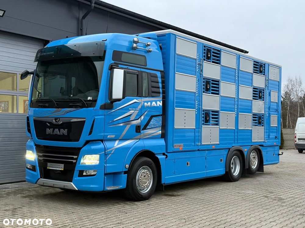 MAN TGX 26.540 // E6 // Zabudowa PEZZAIOLI // 3 poziomy hydraulika, podnoszony dach, rampa hydrauliczna // do żywca, do bydła, do transportu zwierząt - 1