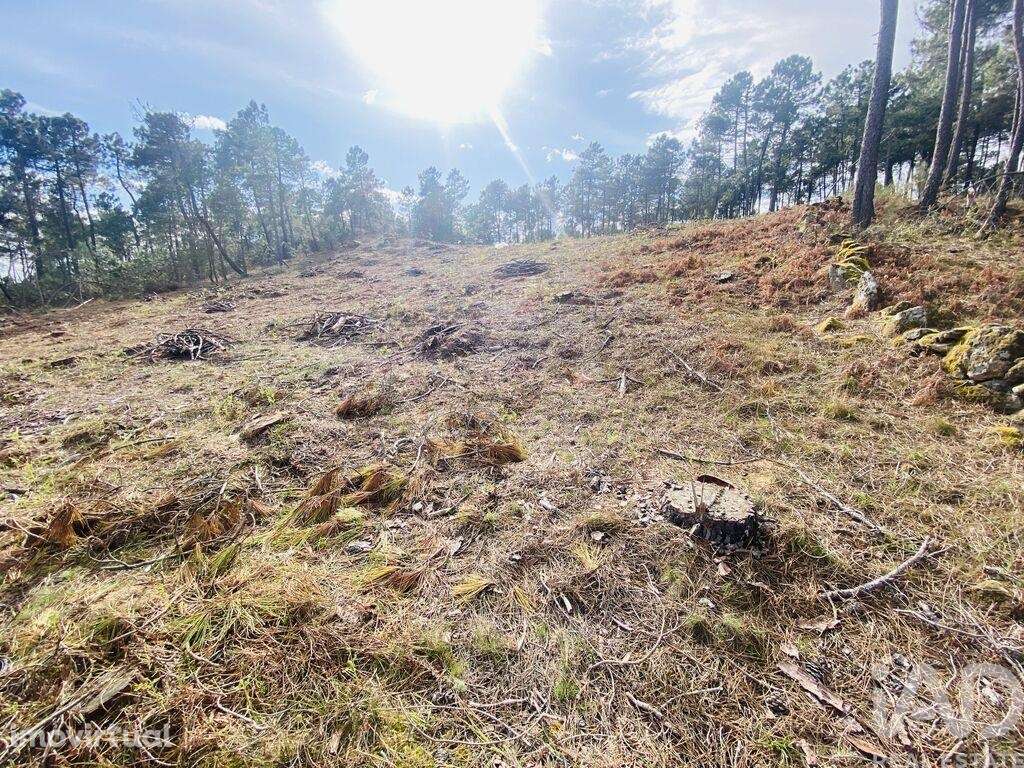 Terreno para construção em Mouçós e Lamares de 3484,00 m2 - Grande imagem: 5/27
