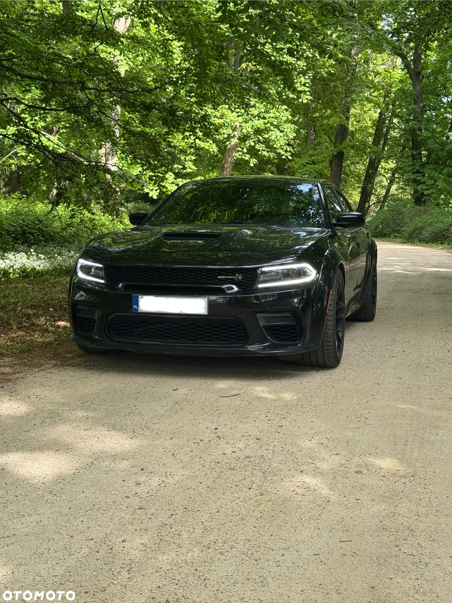 Dodge Charger 6.4 Scat Pack Widebody - 13