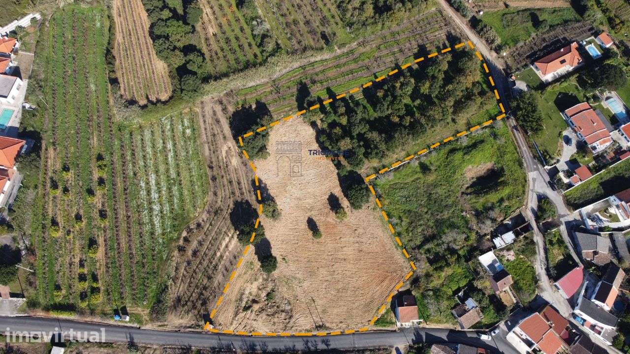 Terreno 10.000m2 c/ possibilidade construção Delgada, Bombarral - Grande imagem: 2/4