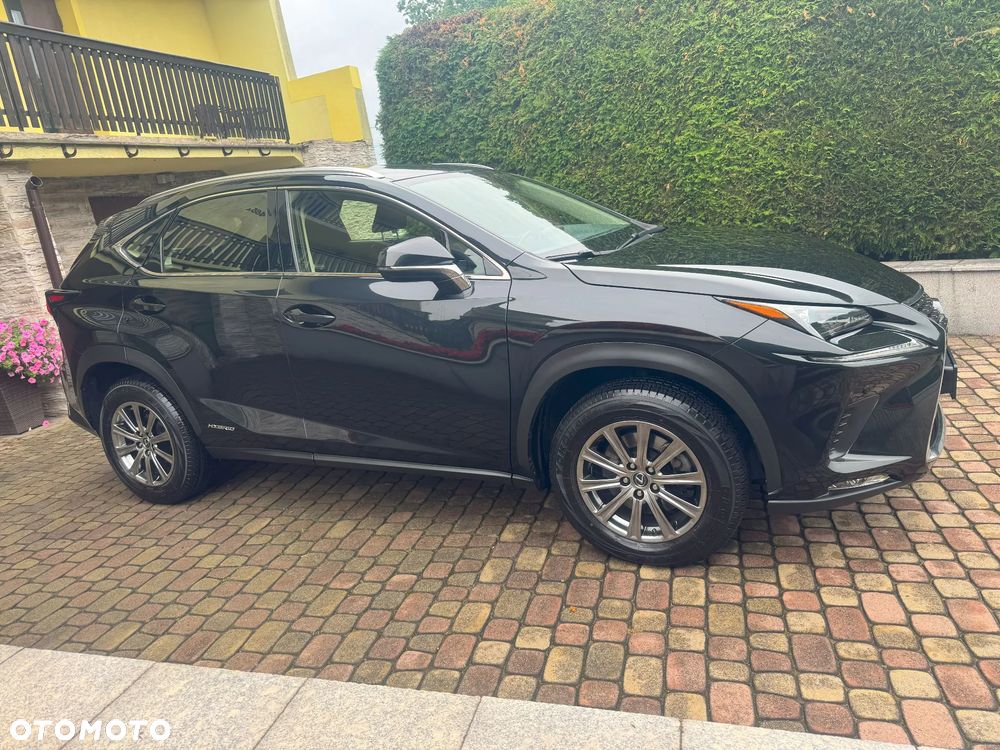 Lexus NX 350h Business AWD - 4