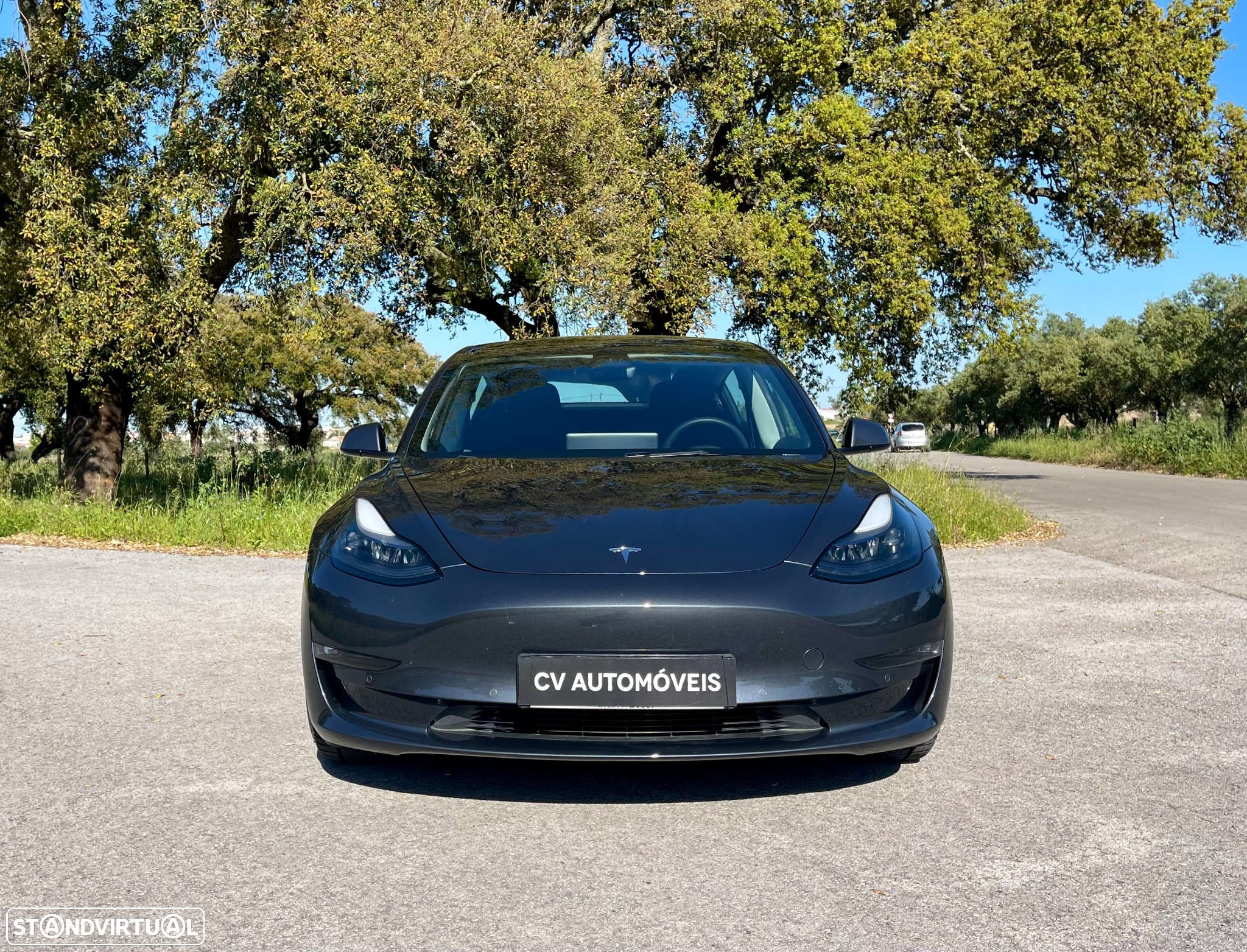 Tesla Model 3 Performance Dual Motor AWD - 3