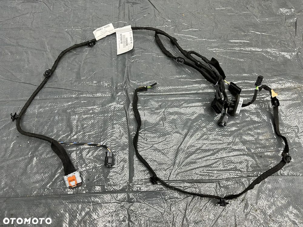 Peugeot Citroen Instalacja wiązka kabli drzwi prawy tył 9816584180 - 4