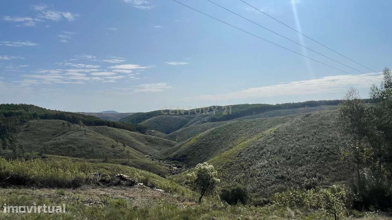 Terreno rústico, Cebolais de Cima, Castelo Branco - Grande imagem: 5/6