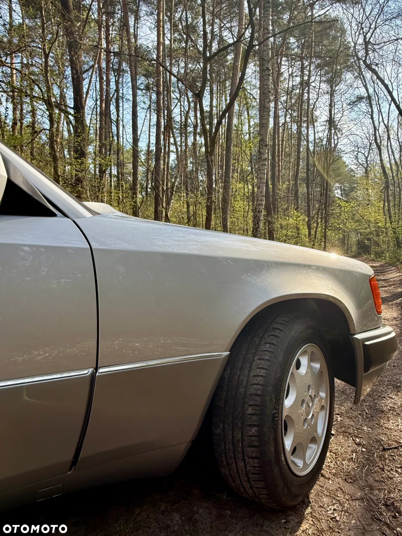 Mercedes-Benz W124 (1984-1993) - 8