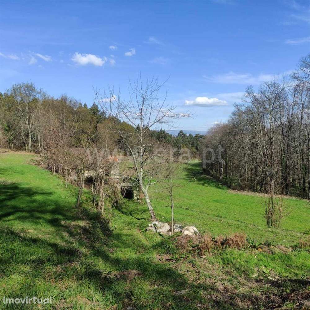 Quinta em Arnóia - Celorico de Basto - Grande imagem: 5/20