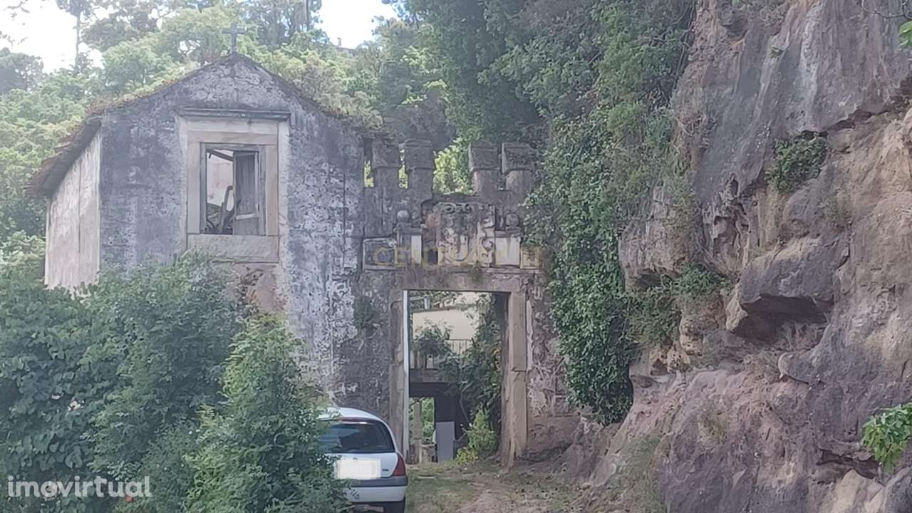 Vendo Quinta em Coimbra - Grande imagem: 4/40