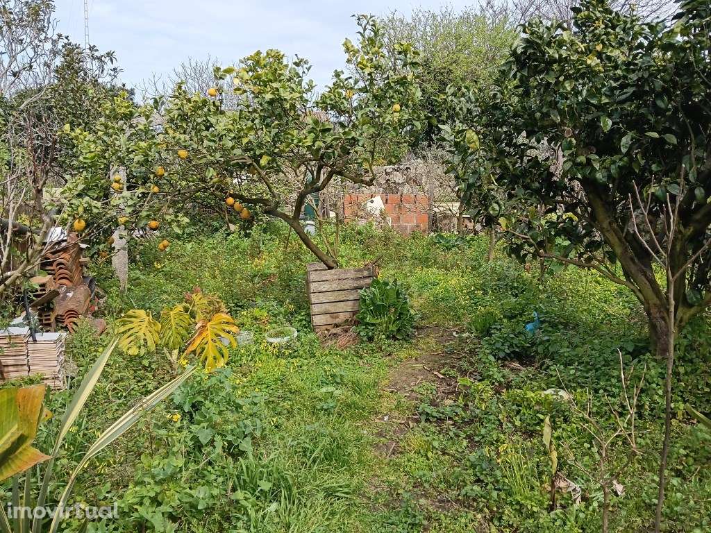 Moradia T2 com Vista Mar em Areosa - Viana do Castelo - Grande imagem: 5/6