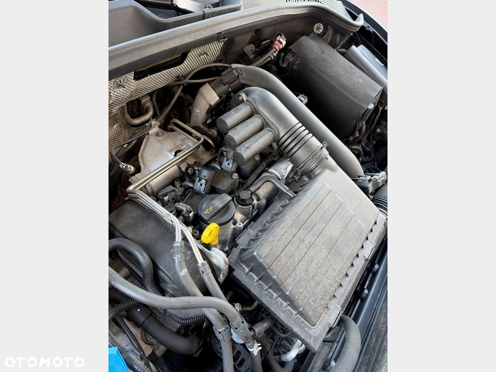 Volkswagen Beetle - 35