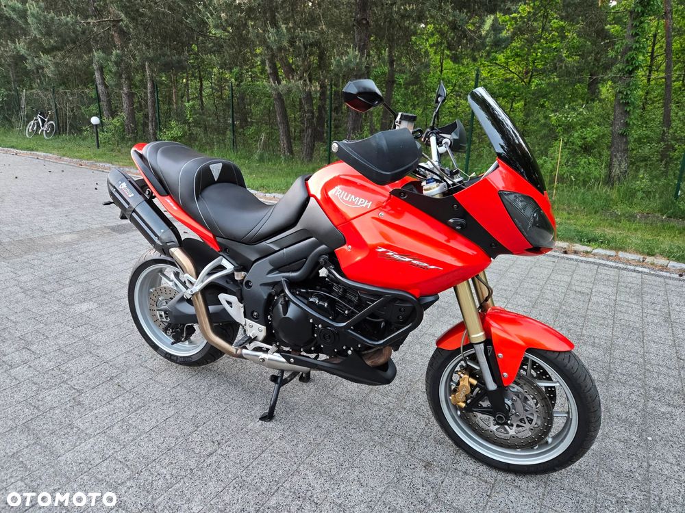 Triumph Tiger - 3