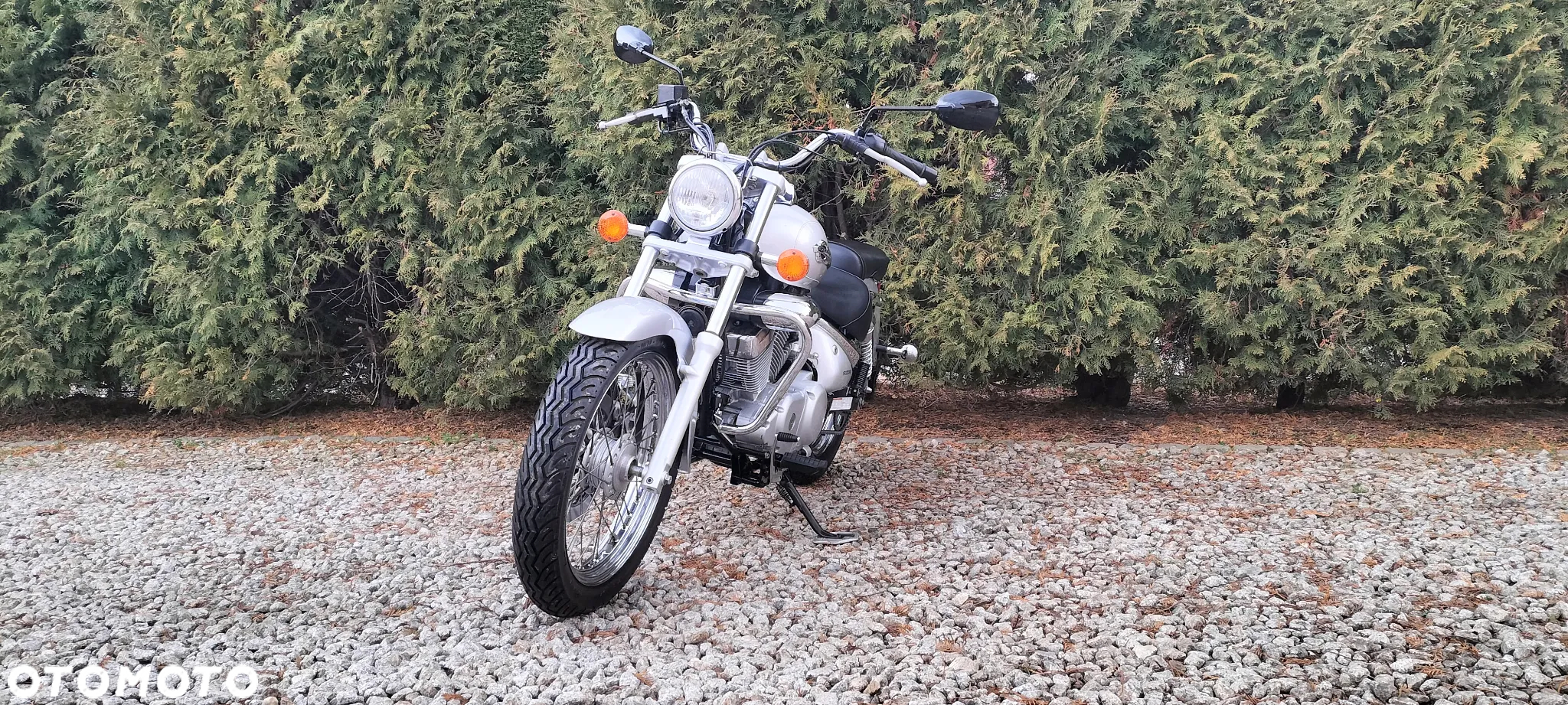 Suzuki Intruder - 5